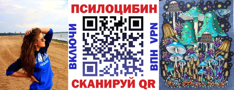 Псилоцибиновые грибы GOLDEN TEACHER  магазин продажи наркотиков  Ставрополь 