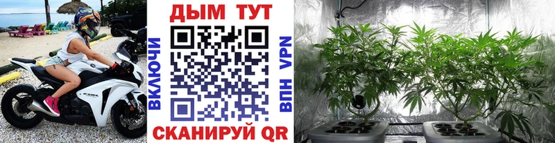 KRAKEN ТОР  Ставрополь  Каннабис планчик  где купить  